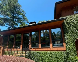 Exterior view of a house with large black-trimmed windows, ivy-covered walls, and a staircase with black railings, set against a clear blue sky and tall trees.