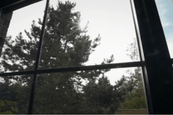 Sunlight streaming through a large window with trees visible outside